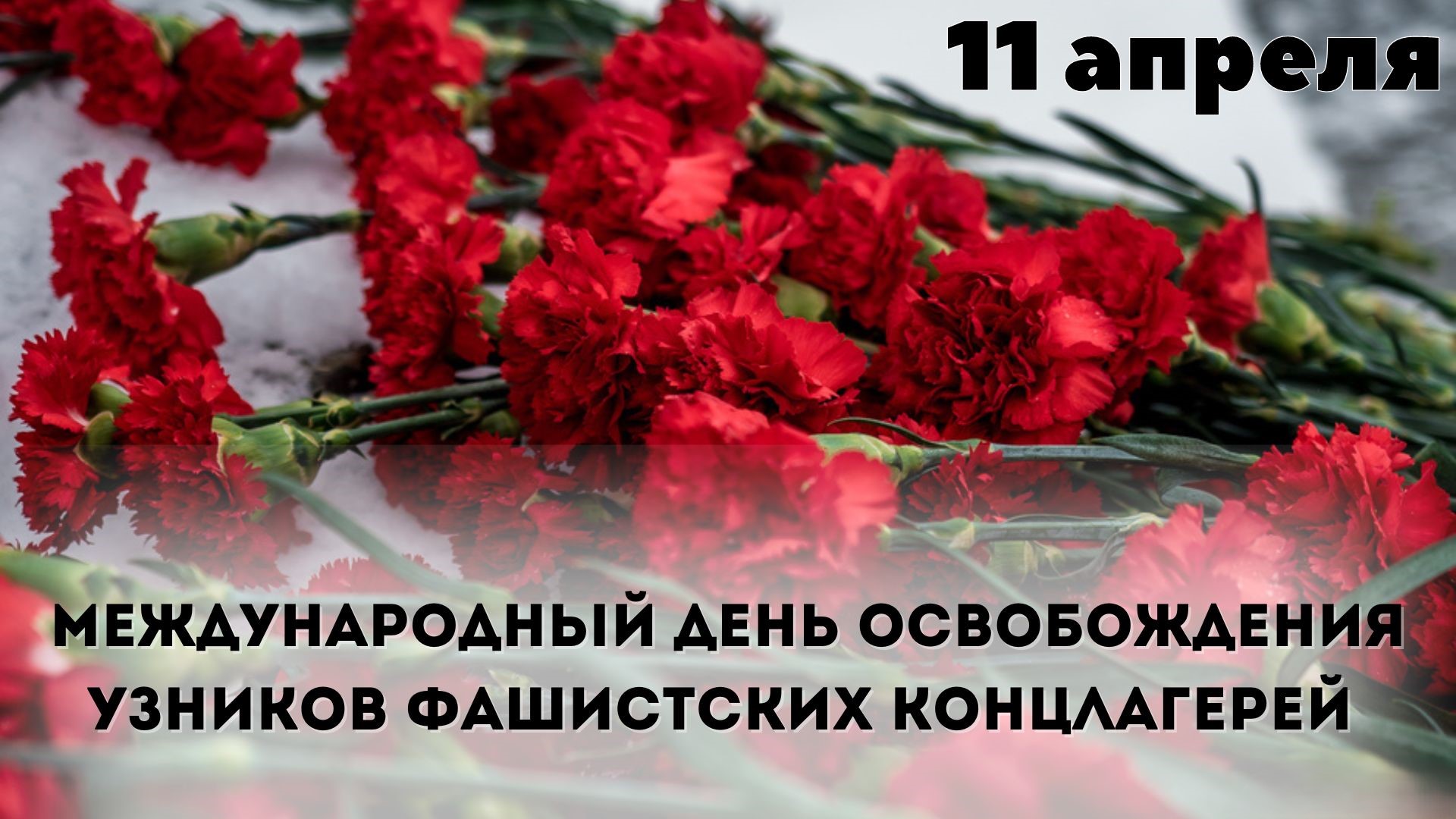 11 апреля международный день памяти узников концлагерей